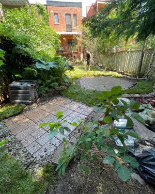 535685172_122122412840931135_5193529797882721101_n